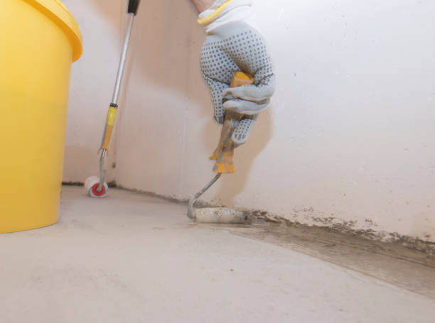 Pest Control for Warehouses in Cibolo, TX